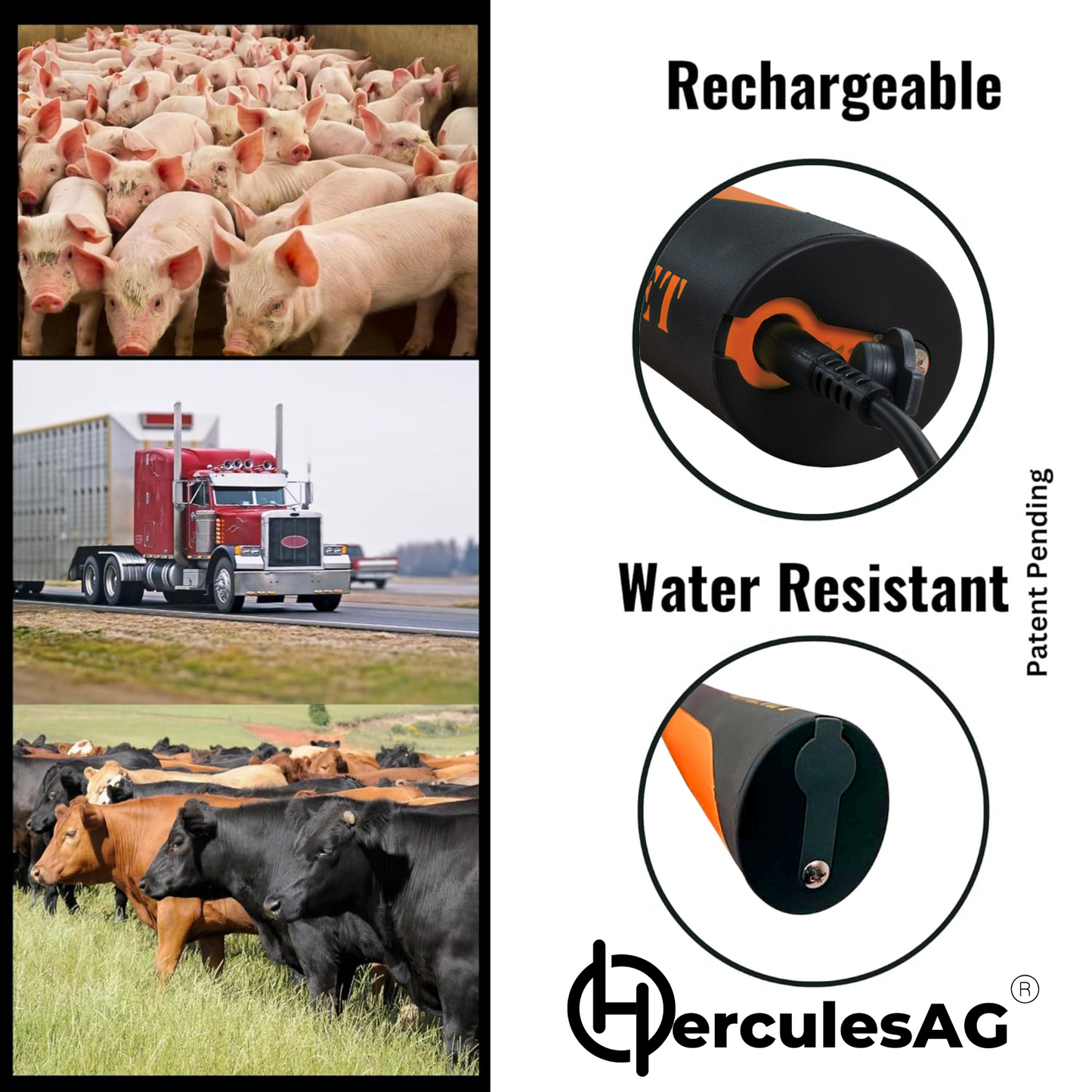 Hornet 2600 USB Rechargeable Electric Livestock Prod Handle