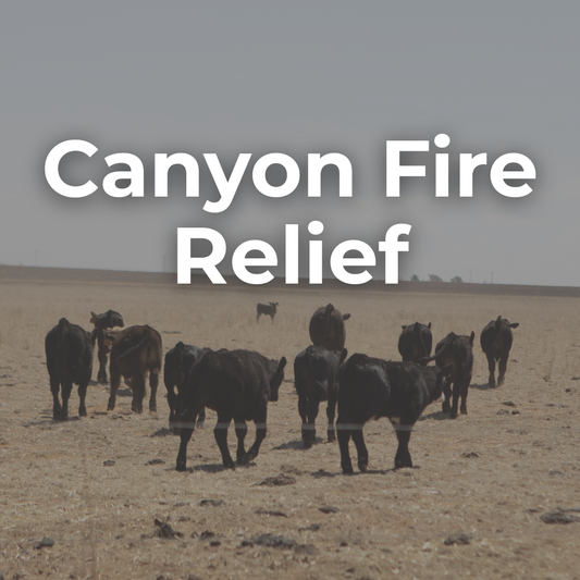 Canyon Fire Relief Donation